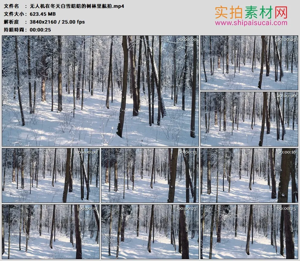 4K高清实拍视频素材丨无人机在冬天白雪皑皑的树林里航拍