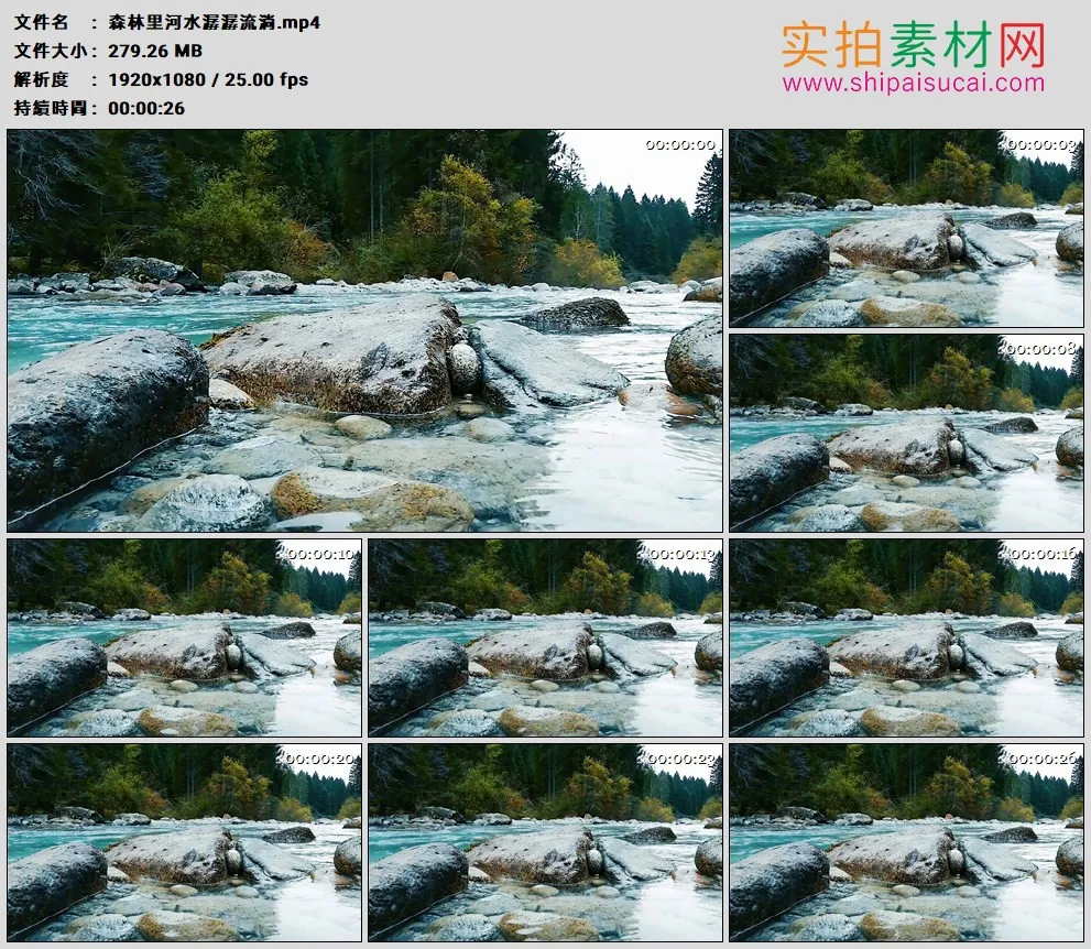 高清实拍视频素材丨森林里河水潺潺流淌
