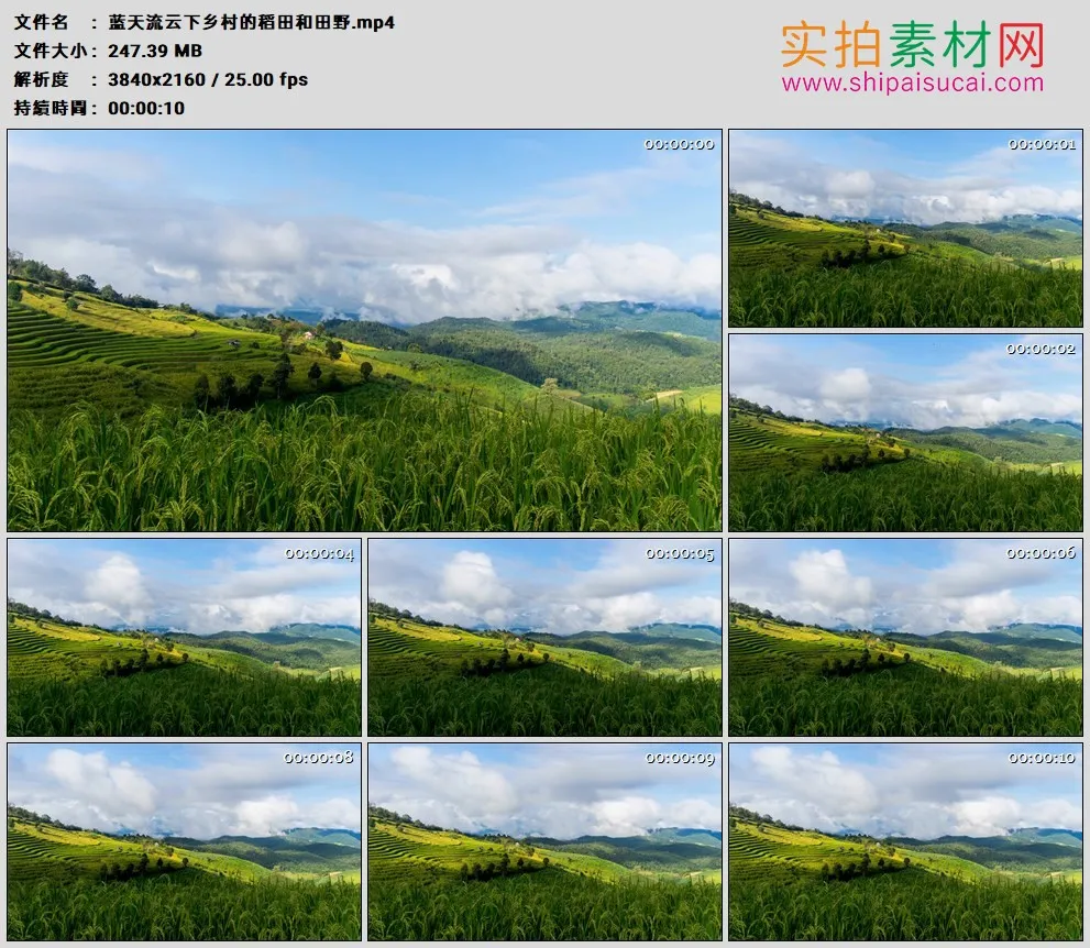 4K高清实拍视频素材丨蓝天流云下乡村的稻田和田野