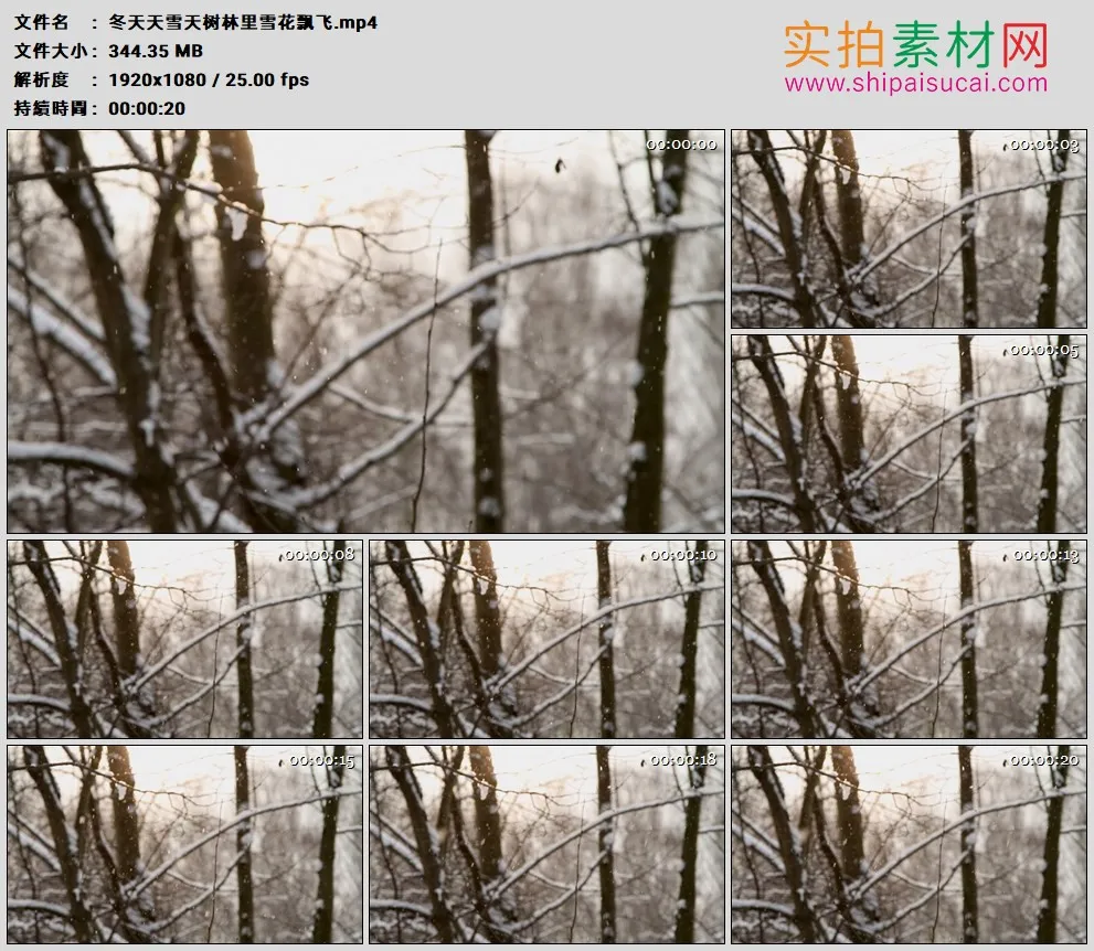 高清实拍视频素材丨冬天下雪天树林里雪花飘飞