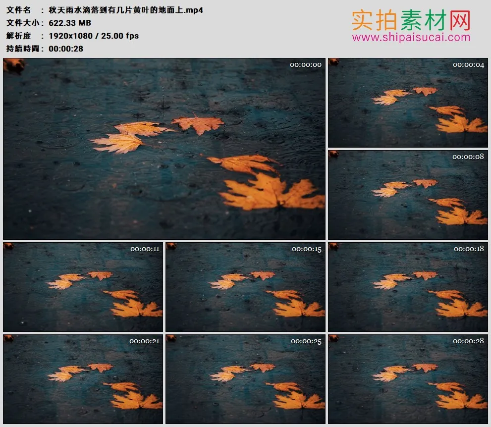 高清实拍视频素材丨秋天雨水滴落到有几片黄叶的地面上