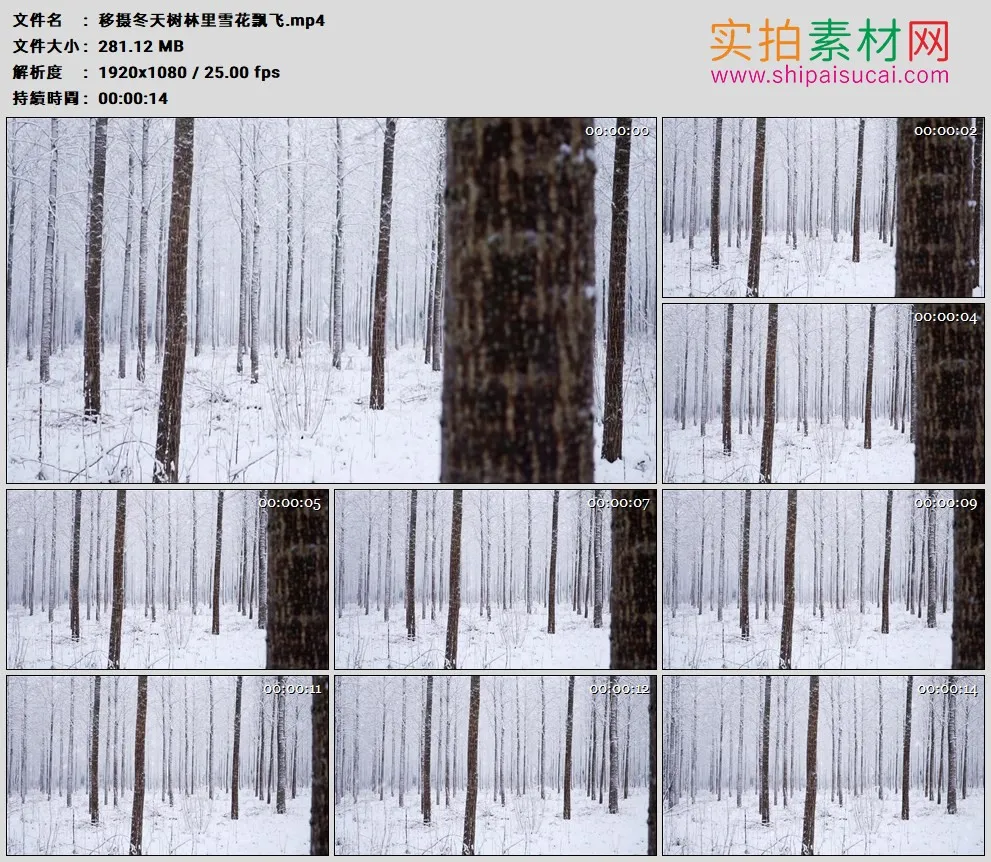 高清实拍视频素材丨移摄冬天树林里雪花飘飞