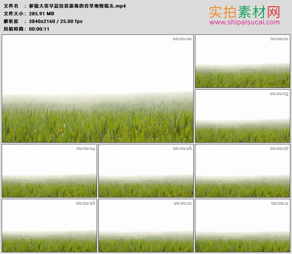 4K高清实拍视频素材丨移摄大雾早晨挂着露珠的青草地慢镜头