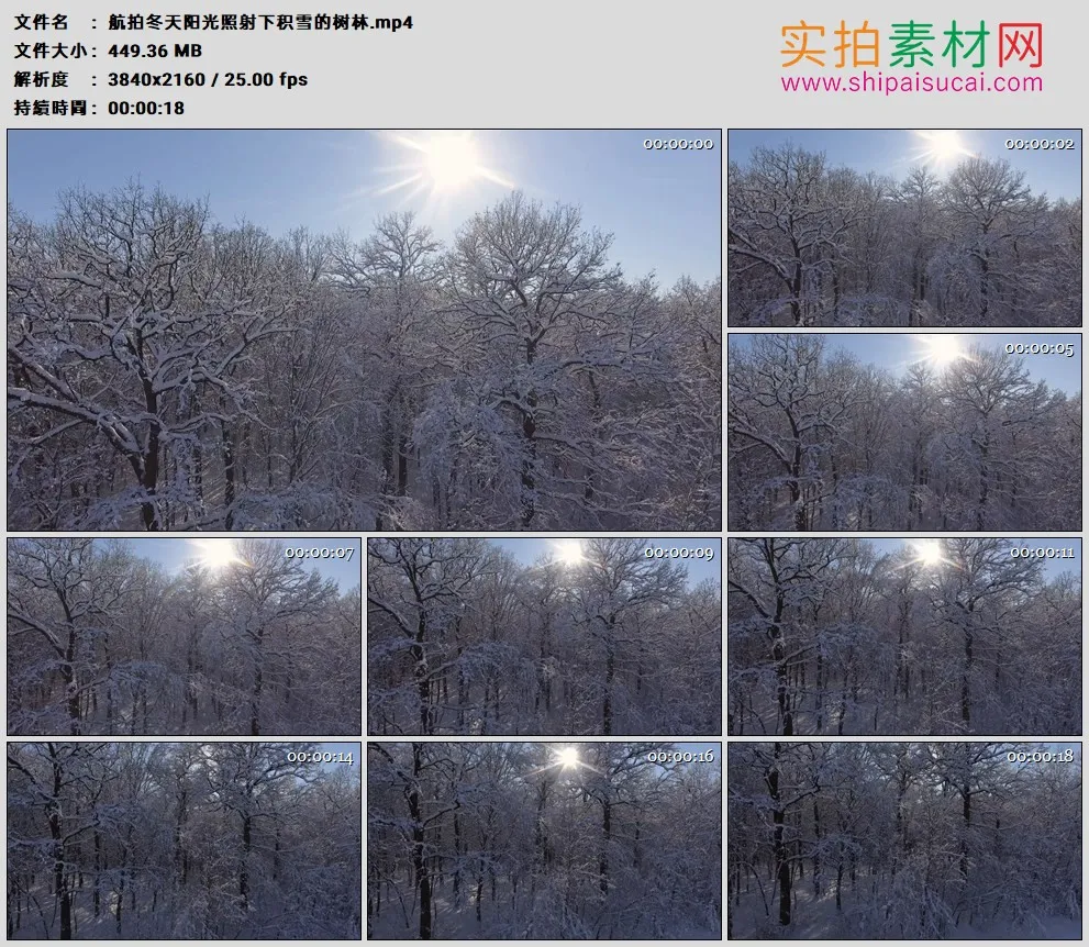 4K高清实拍视频素材丨航拍冬天阳光照射下积雪的树林
