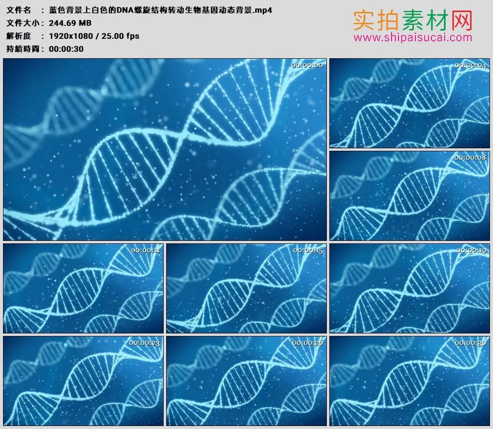 高清动态视频素材丨蓝色背景上白色的DNA螺旋结构转动生物基因动态背景