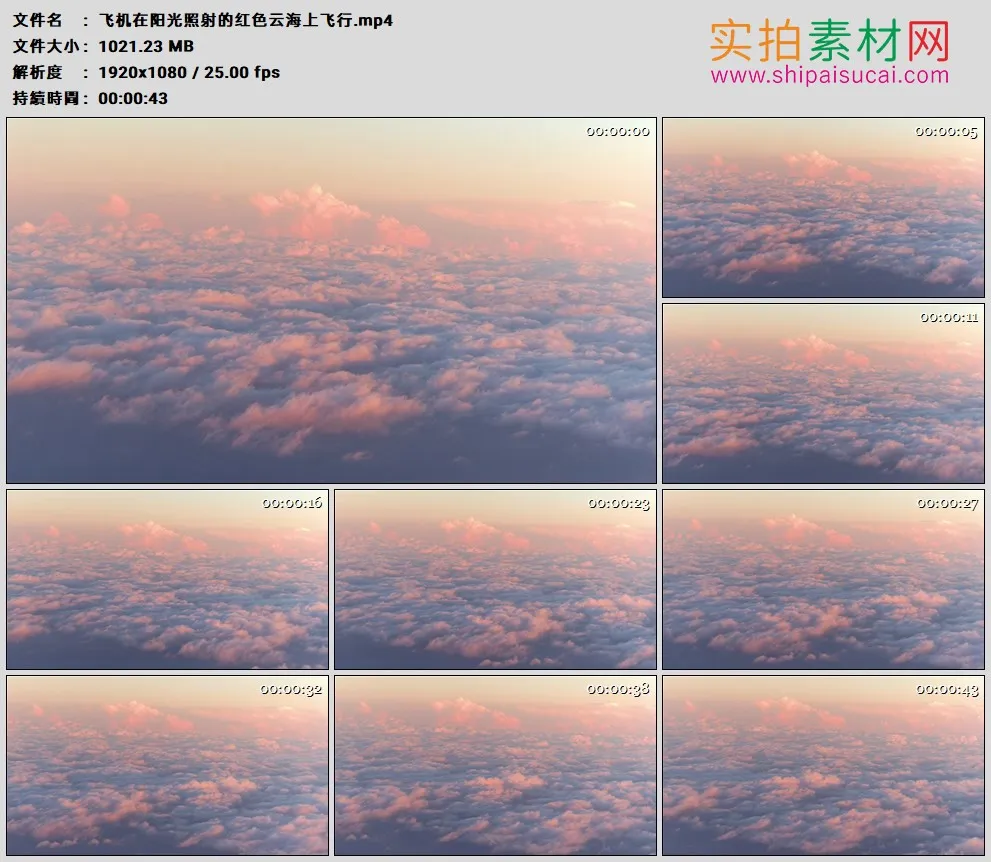 高清实拍视频素材丨飞机在阳光照射的红色云海上飞行