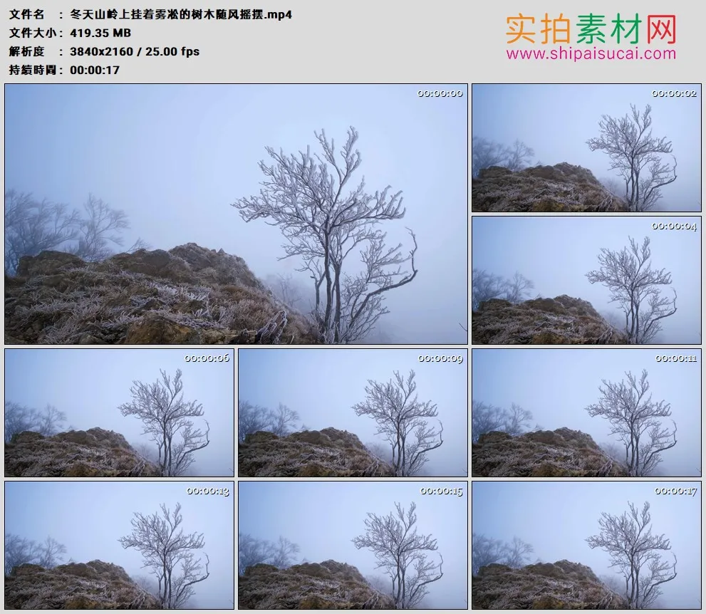 4K高清实拍视频素材丨冬天山岭上挂着雾凇的树木随风摇摆