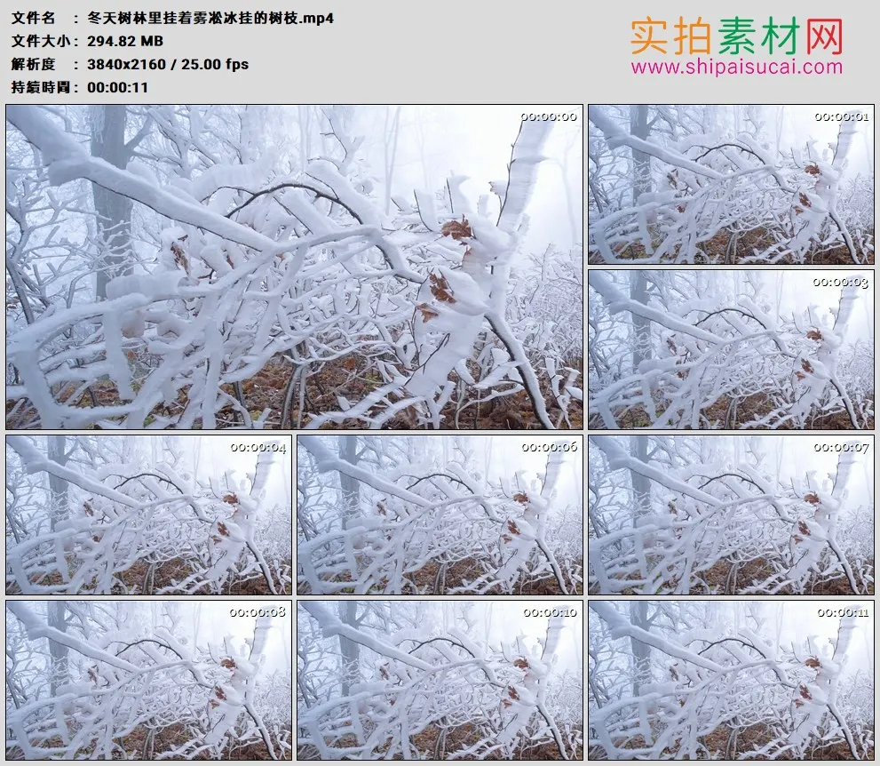 4K高清实拍视频素材丨冬天树林里挂着雾凇冰挂的树枝