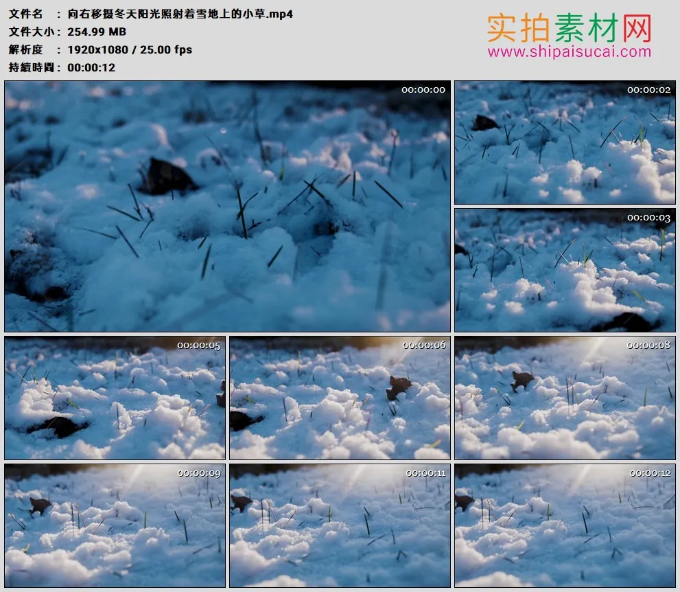 高清实拍视频素材丨向右移摄冬天阳光照射着雪地上的小草