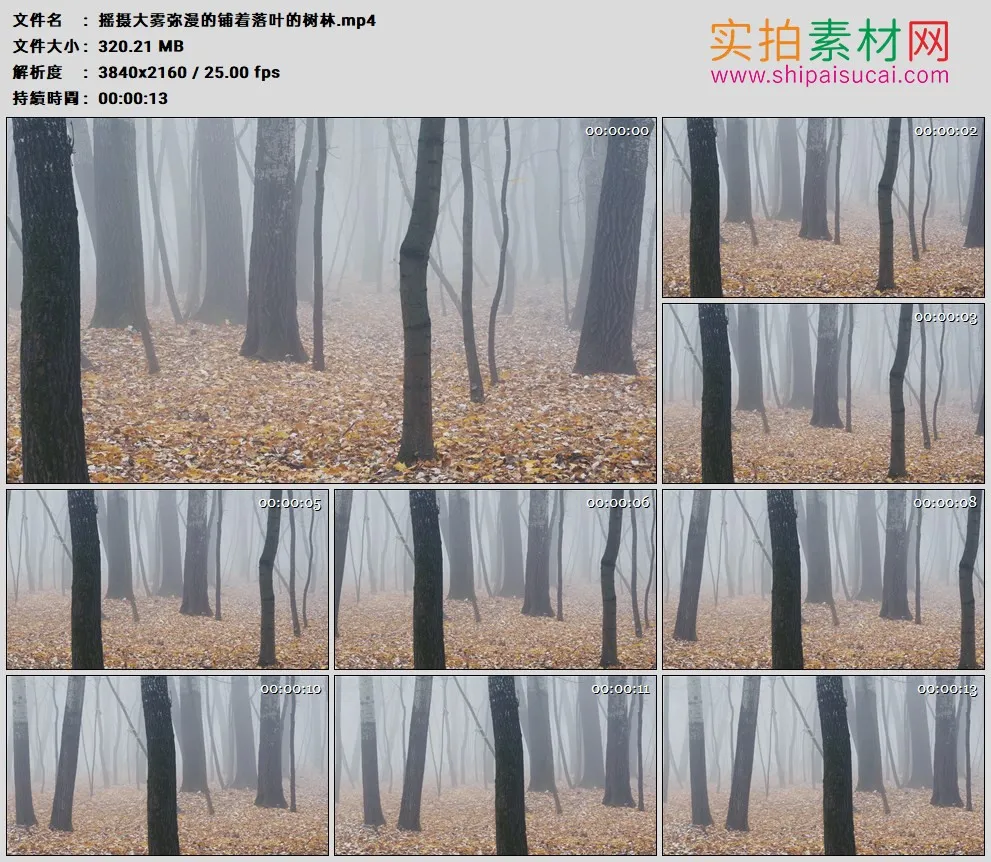 4K高清实拍视频素材丨摇摄大雾弥漫着的秋天铺满落叶的树林