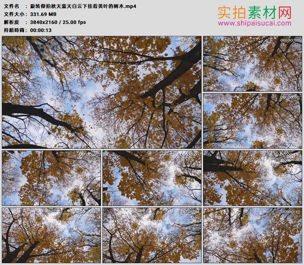 4K高清实拍视频素材丨旋转仰拍秋天蓝天白云下挂着黄叶的树木
