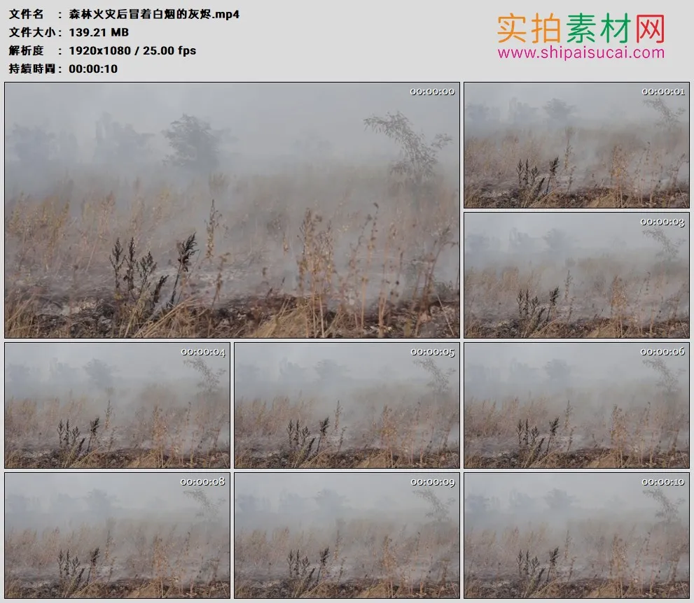 高清实拍视频素材丨森林火灾后冒着白烟的灰烬