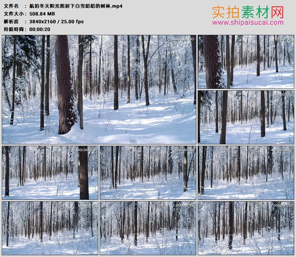 4K高清实拍视频素材丨航拍冬天阳光照射下白雪皑皑的树林