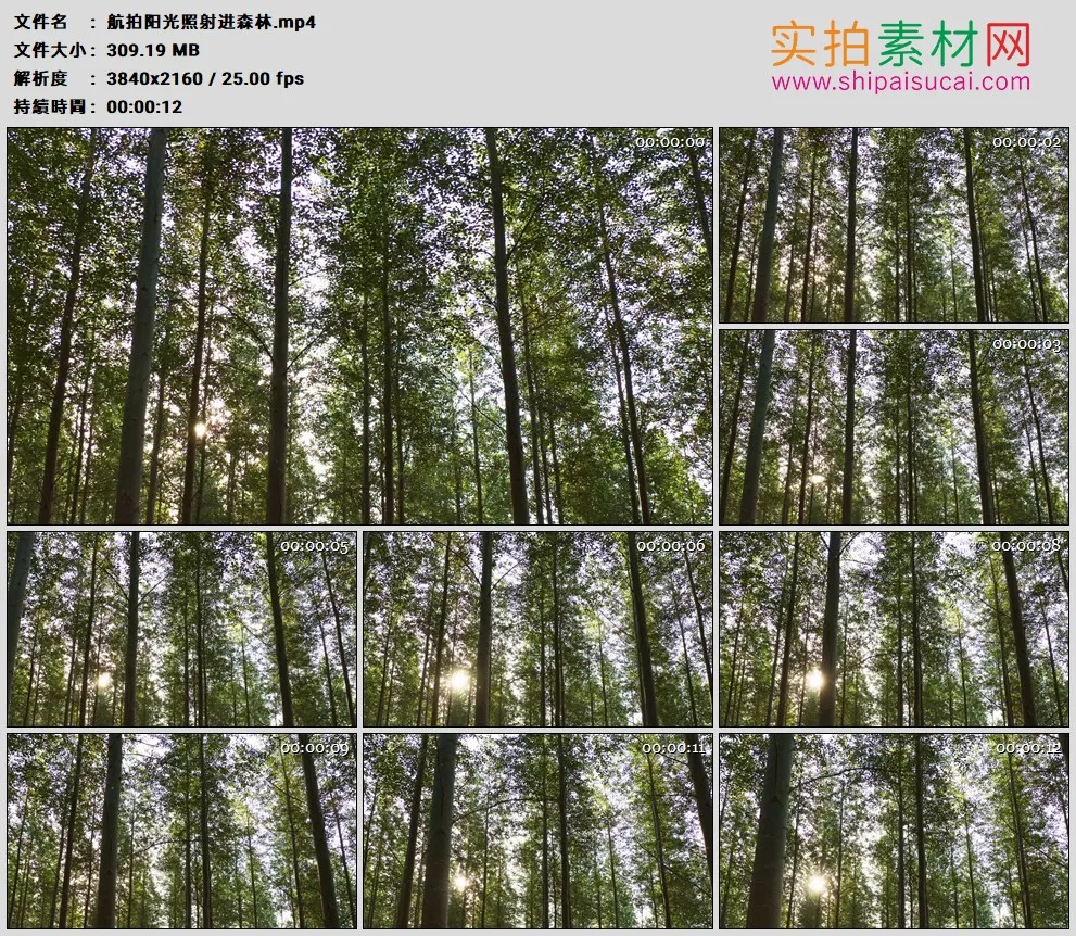 4K高清实拍视频素材丨航拍阳光照射进森林