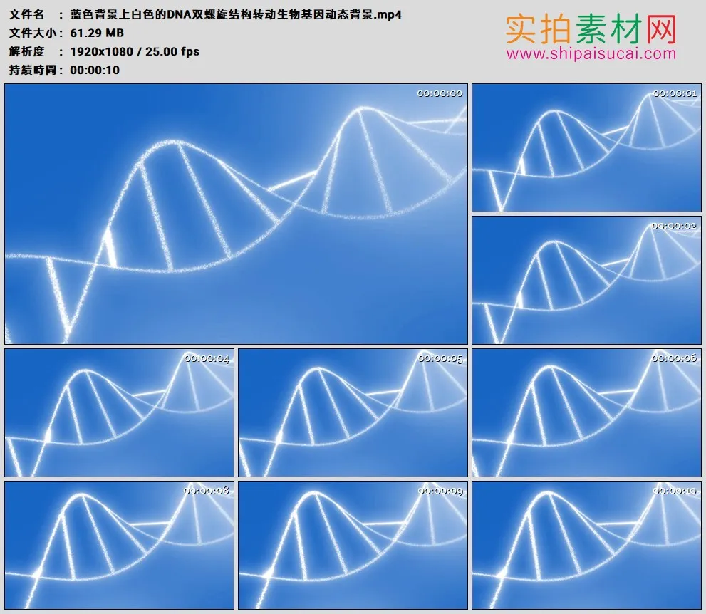 高清实拍视频素材丨蓝色背景上白色的DNA双螺旋结构转动生物基因动态背景
