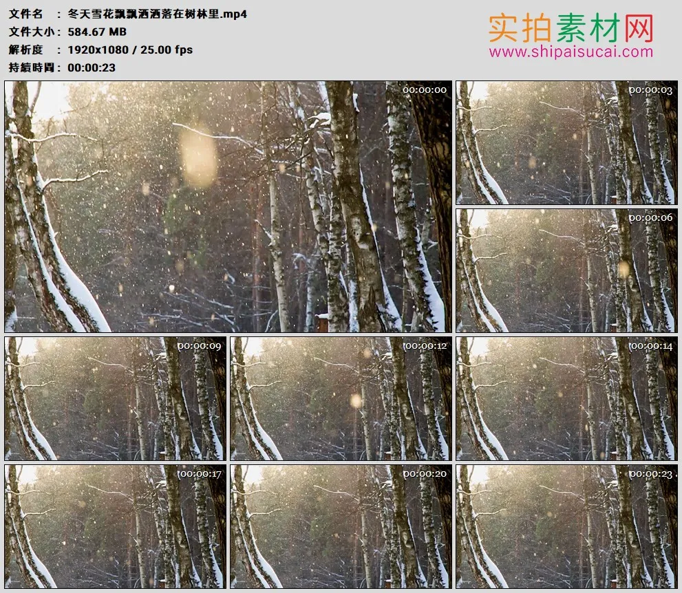 高清实拍视频素材丨冬天雪花飘飘洒洒落在树林里