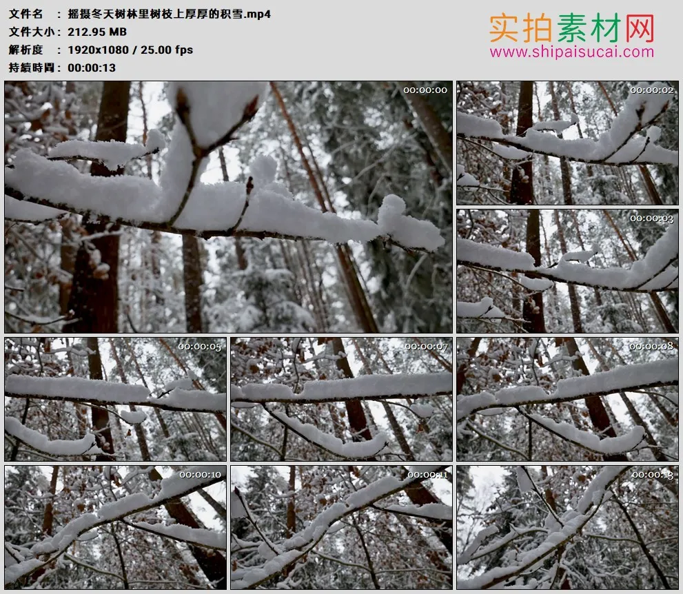 高清实拍视频素材丨摇摄冬天树林里树枝上厚厚的积雪