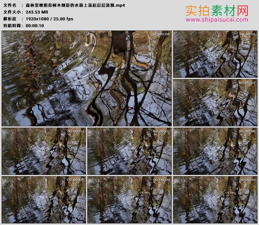 高清实拍视频素材丨森林里映照着树木倒影的水面上荡起层层涟漪