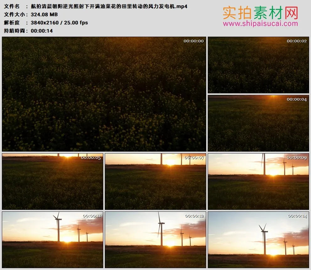 4K高清实拍视频素材丨航拍清晨朝阳逆光照射下开满油菜花的田里转动的风力发电机