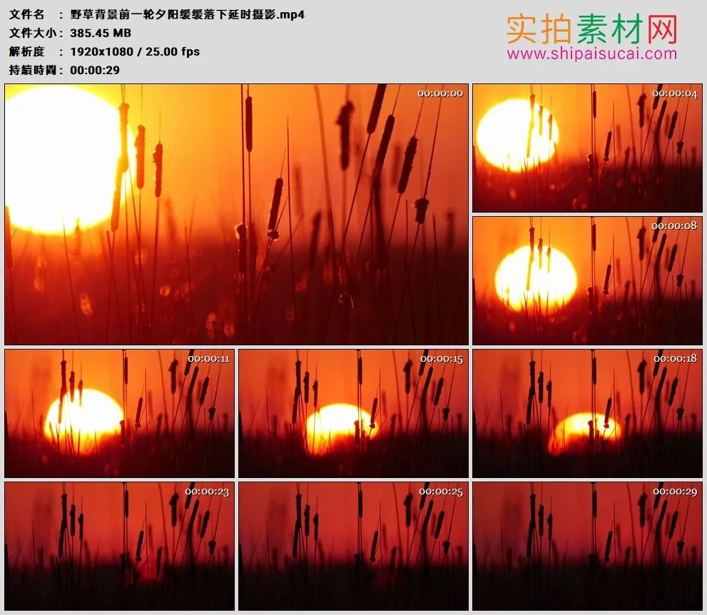 高清实拍视频素材丨野草背景前一轮夕阳缓缓落下延时摄影
