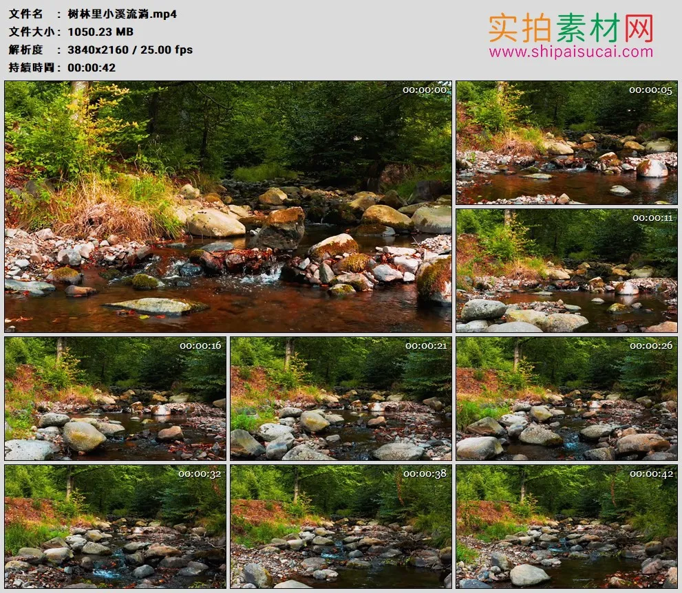 4K高清实拍视频素材丨树林里小溪流淌
