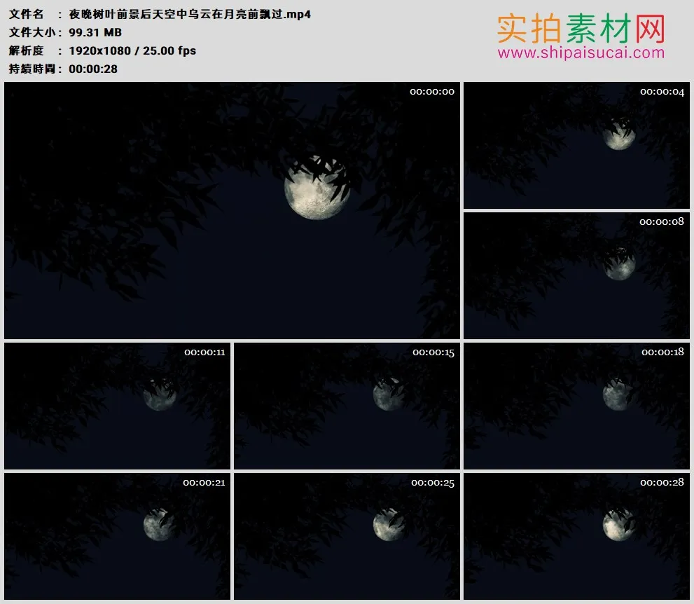 高清实拍视频素材丨夜晚树叶前景后天空中乌云在月亮前飘过