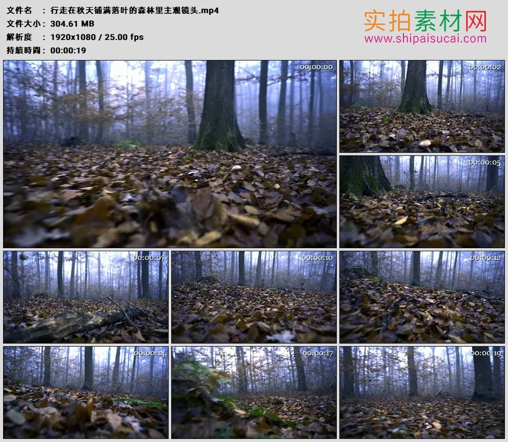 高清实拍视频素材丨行走在秋天铺满落叶的森林里主观镜头