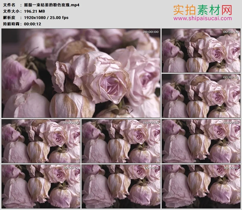 高清实拍视频素材丨摇摄一束枯萎的粉色玫瑰