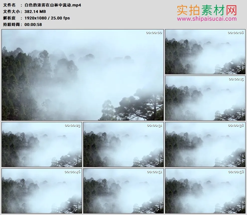 高清实拍视频素材丨白色的浓雾在山林中流动