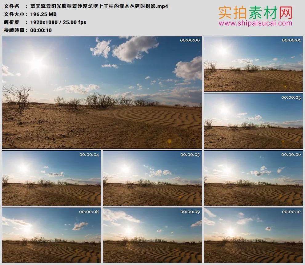 高清实拍视频素材丨蓝天流云阳光照射着沙漠戈壁上干枯的灌木丛延时摄影