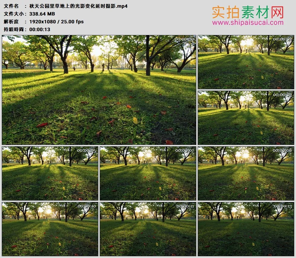 高清实拍视频素材丨秋天公园里草地上的光影变化延时摄影