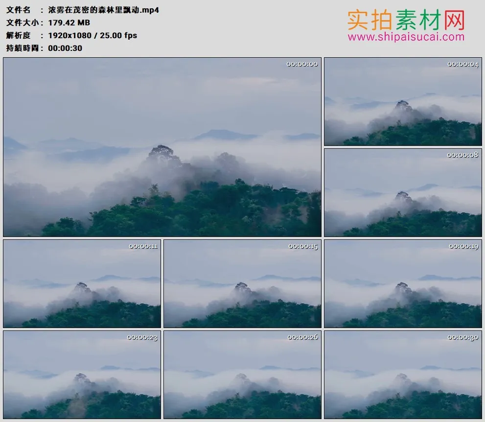 高清实拍视频素材丨浓雾在茂密的森林里飘动
