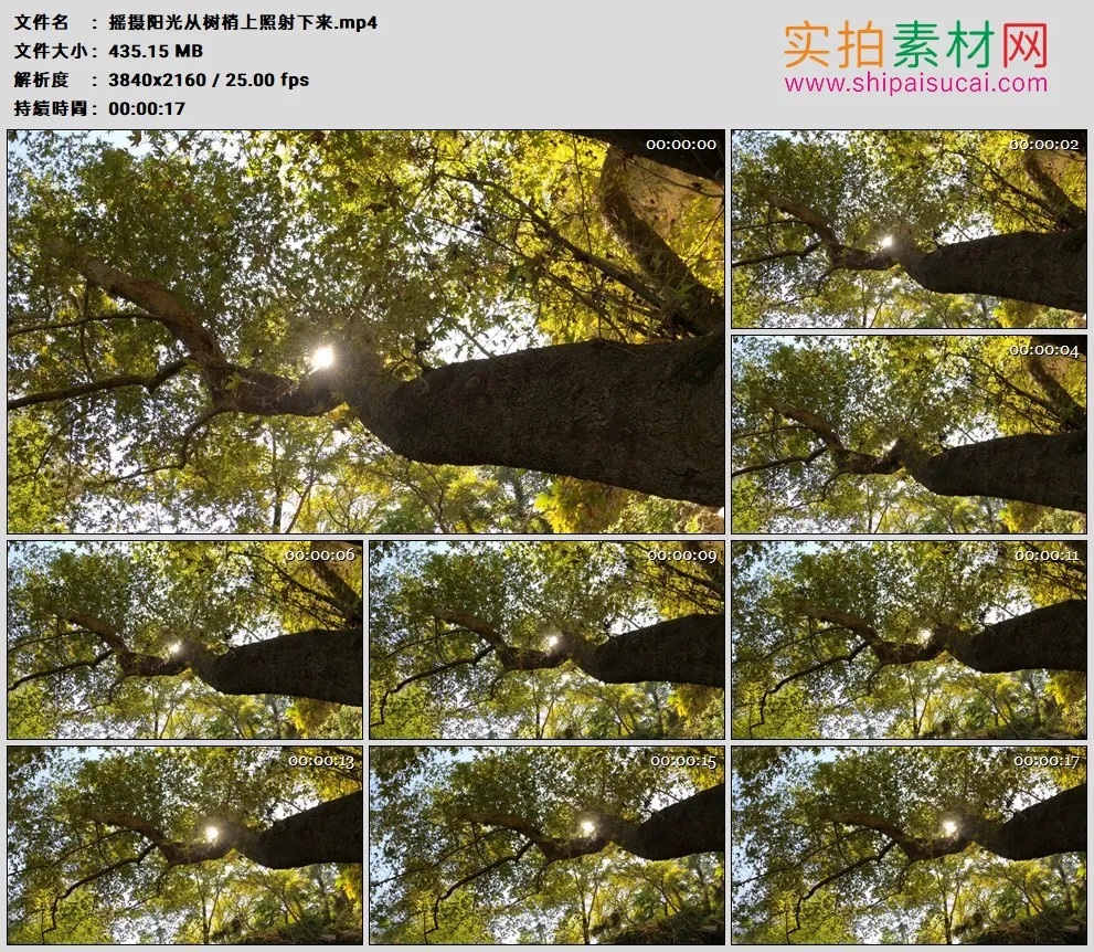 4K高清实拍视频素材丨摇摄阳光从树梢上照射下来