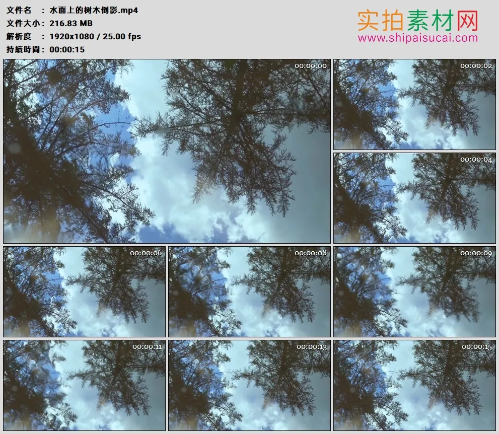 高清实拍视频素材丨水面上的树木倒影