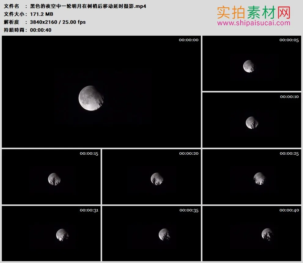 4K高清实拍视频素材丨黑色的夜空中一轮明月在树梢后移动延时摄影