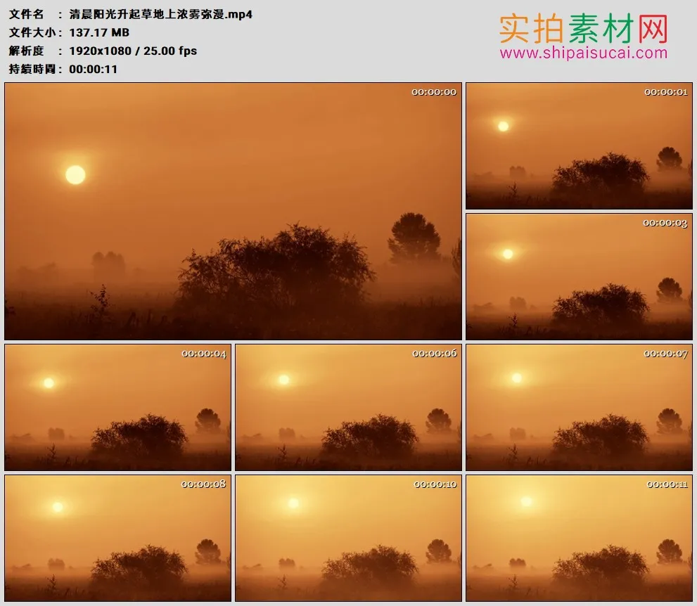 高清实拍视频素材丨清晨阳光升起草地上浓雾弥漫