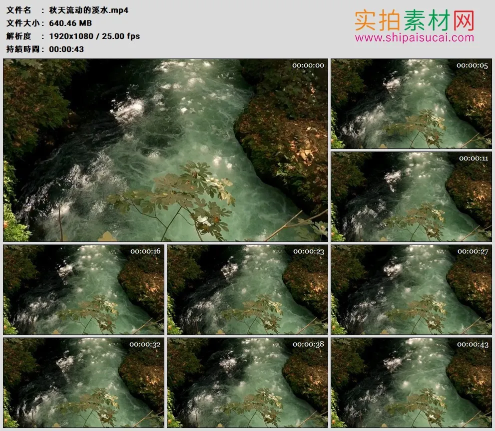 高清实拍视频素材丨秋天流动的溪水