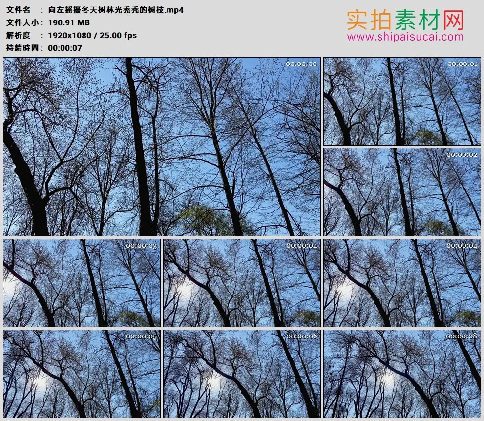 高清实拍视频素材丨向左摇摄冬天树林光秃秃的树枝