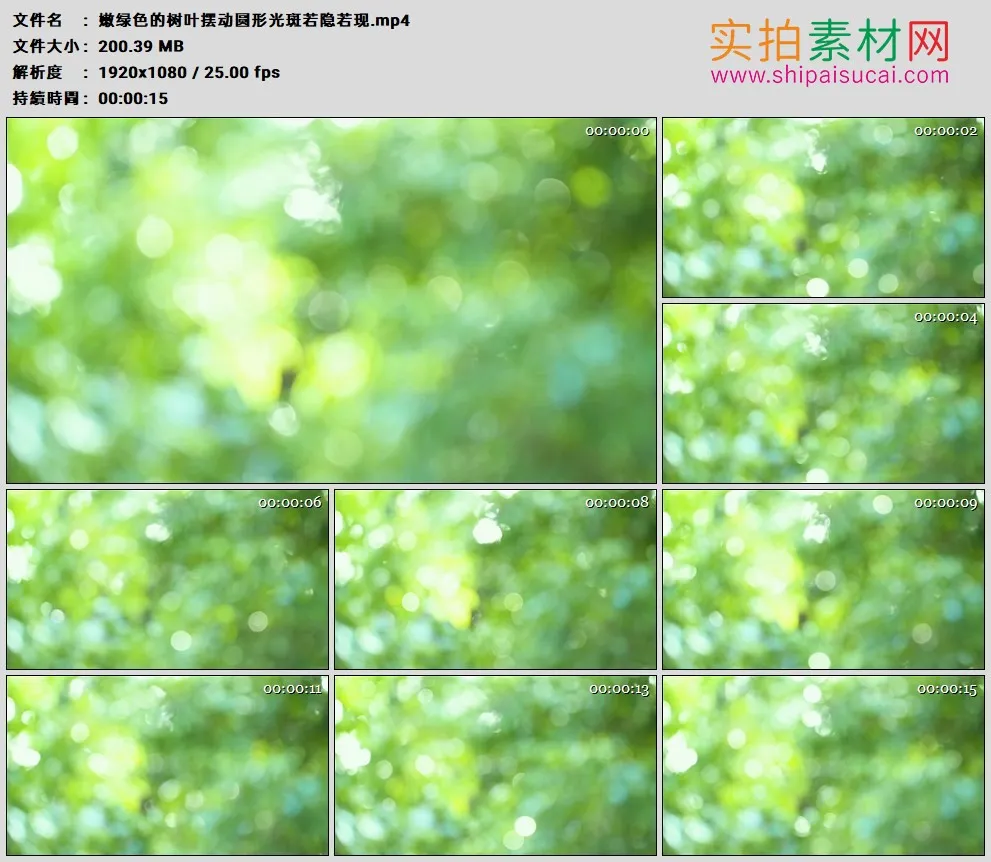 高清实拍视频素材丨嫩绿色的树叶摆动圆形光斑若隐若现