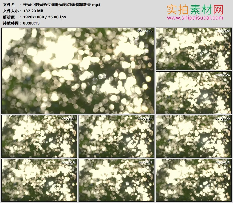 高清实拍视频素材丨逆光中阳光透过树叶光影闪烁模糊散景