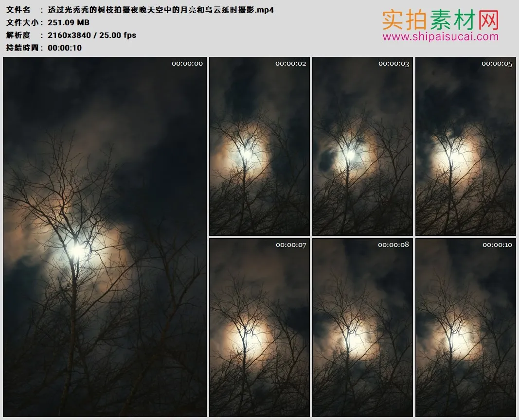 4K高清实拍视频素材丨透过光秃秃的树枝拍摄夜晚天空中的月亮和乌云延时摄影2160×3840竖幅