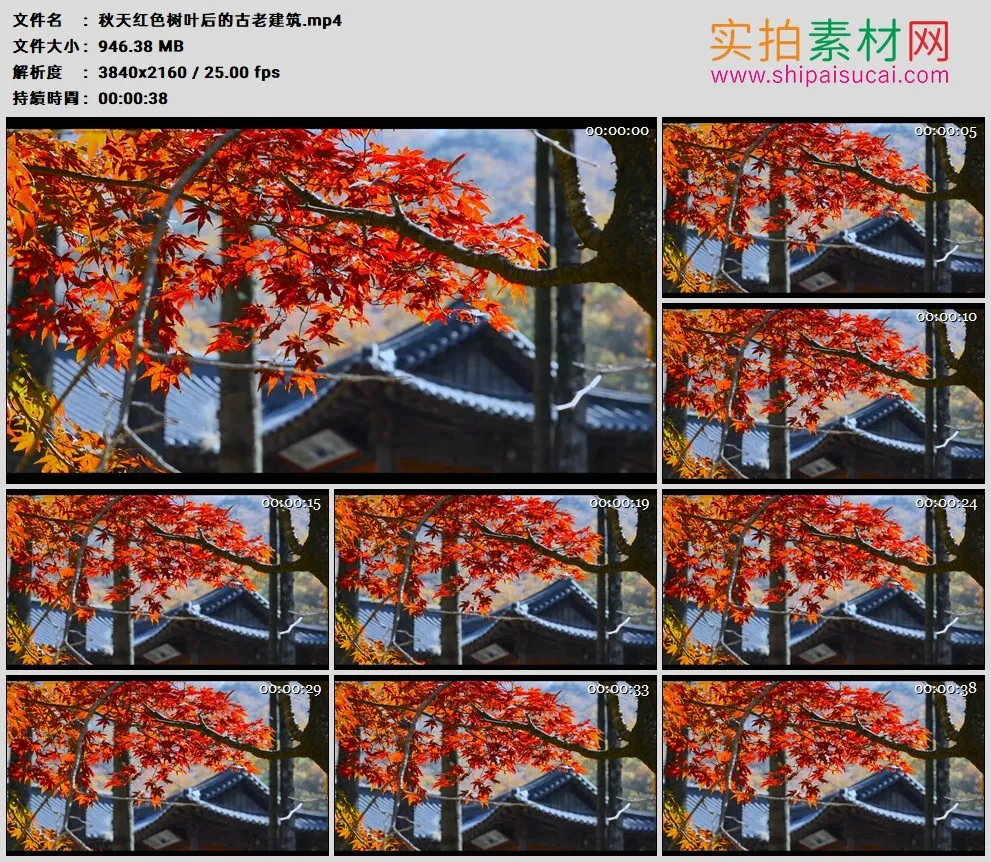 4K高清实拍视频素材丨秋天红色树叶后的古老建筑