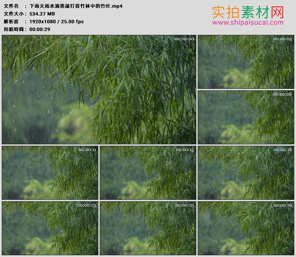 高清实拍视频素材丨下雨天雨水滴落敲打着竹林中的竹叶