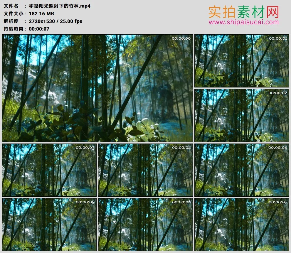 2K高清实拍视频素材丨移摄阳光照射下的竹林