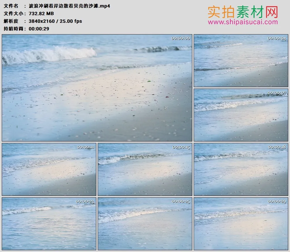 4K高清实拍视频素材丨波浪冲刷着岸边散着贝壳的沙滩