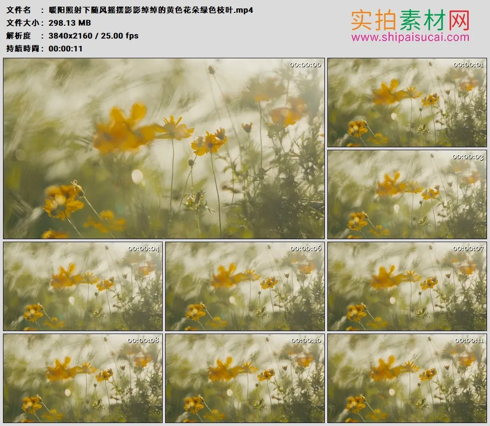 4K高清实拍视频素材丨暖阳照射下随风摇摆影影绰绰的黄色花朵绿色枝叶