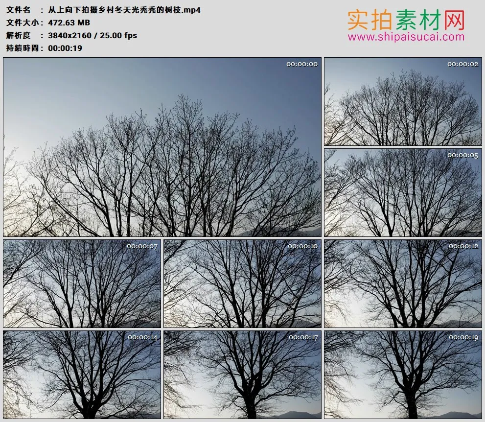 4K高清实拍视频素材丨从上向下拍摄乡村冬天光秃秃的树枝