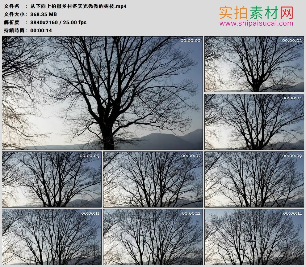 4K高清实拍视频素材丨从下向上拍摄乡村冬天光秃秃的树枝