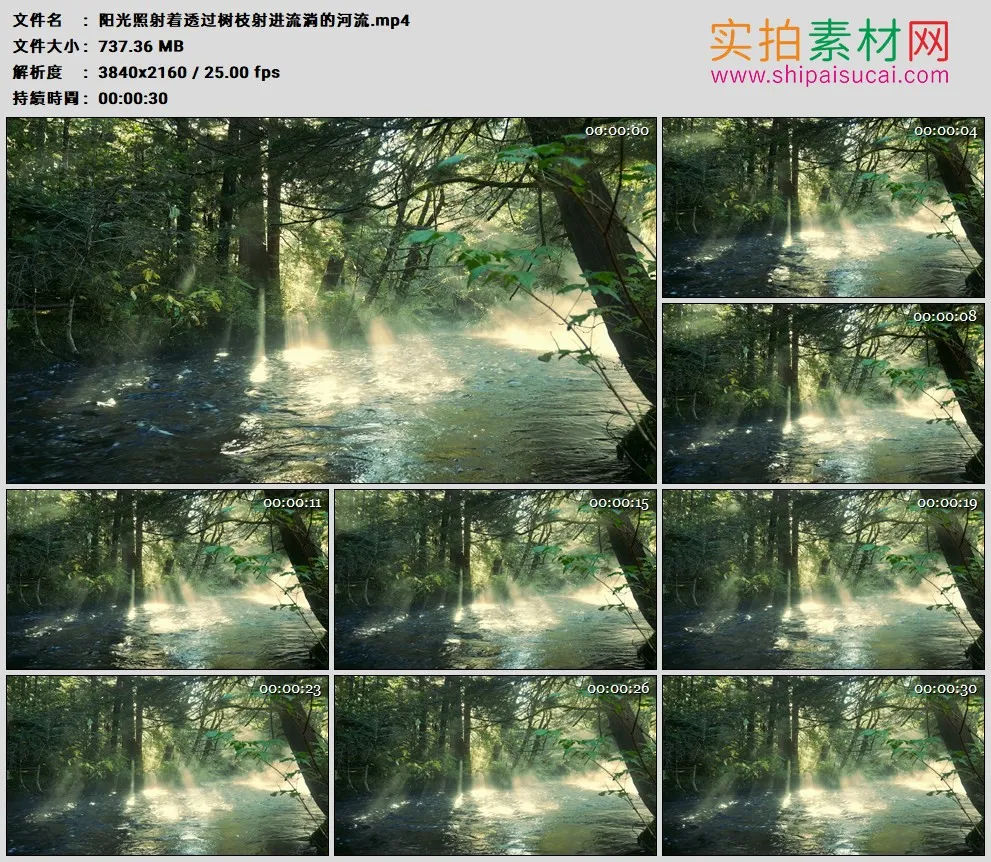 4K高清实拍视频素材丨阳光照射着透过树枝射进流淌的河流