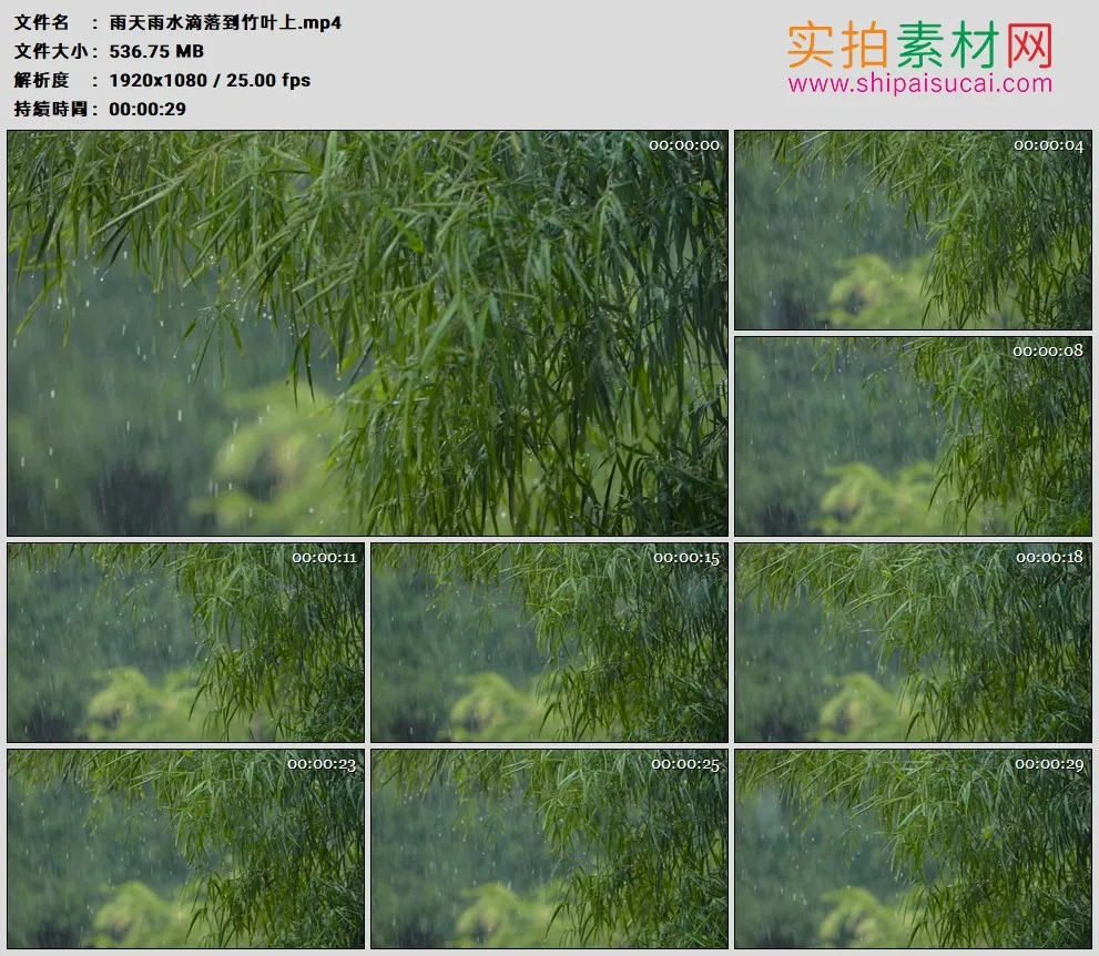 高清实拍视频素材丨雨天雨水滴落到竹叶上